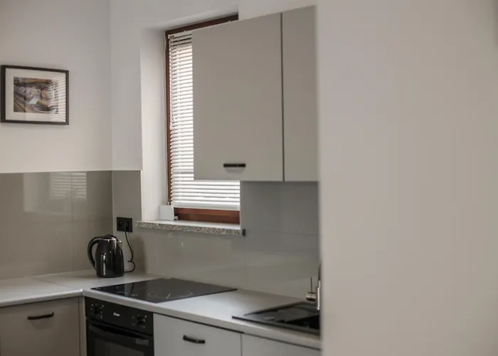 Kandinsky 博莱斯瓦维茨