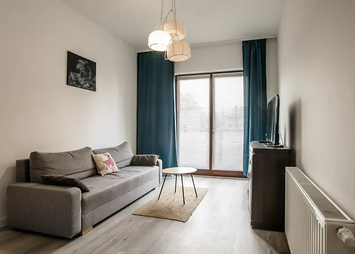 Kandinsky * 博莱斯瓦维茨