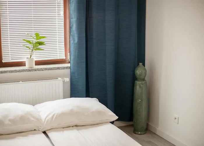 Kandinsky * בולסלאביש