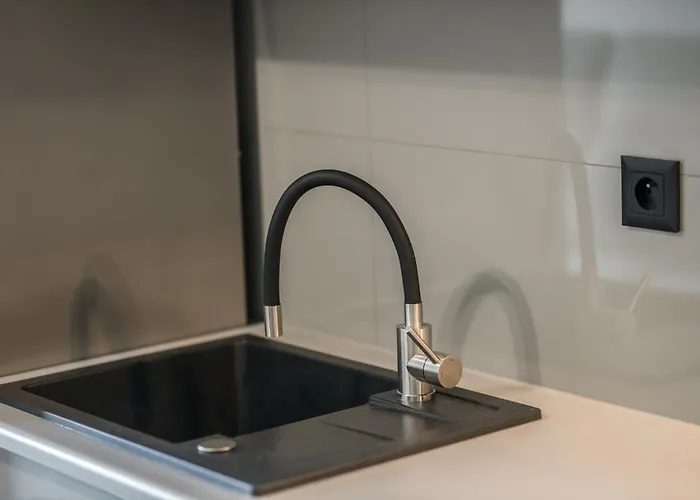 Kandinsky * 博莱斯瓦维茨