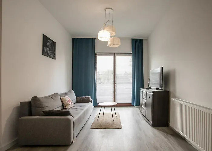 Kandinsky 博莱斯瓦维茨