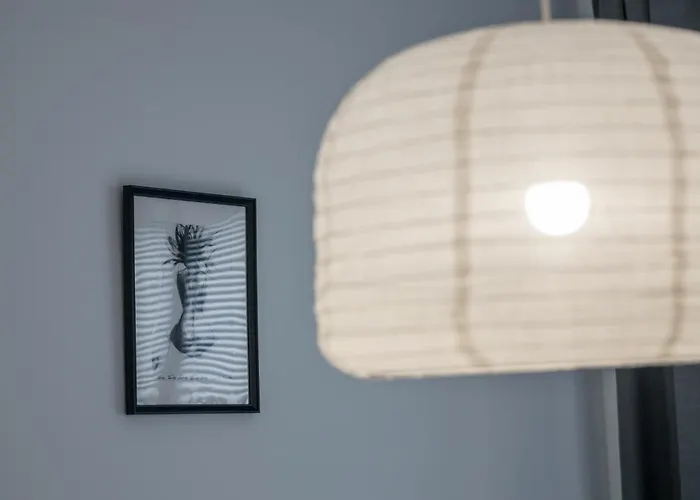 公寓 Kandinsky 博莱斯瓦维茨